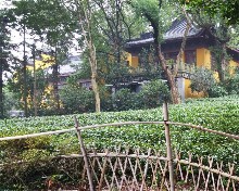 Thumbs/tn_HUANG,MEI-CHEN.Amanfayun Resort, Hangzhou (12).jpg